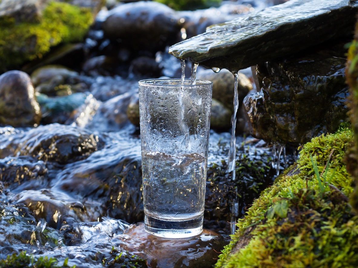 Un vaso de agua cristalina llenándose con agua de una fuente natural, rodeada de musgo y piedras.