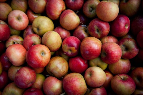 Un montón de manzanas rojas y amarillas frescas con variaciones en su coloración, amontonadas en una vista de primer plano.