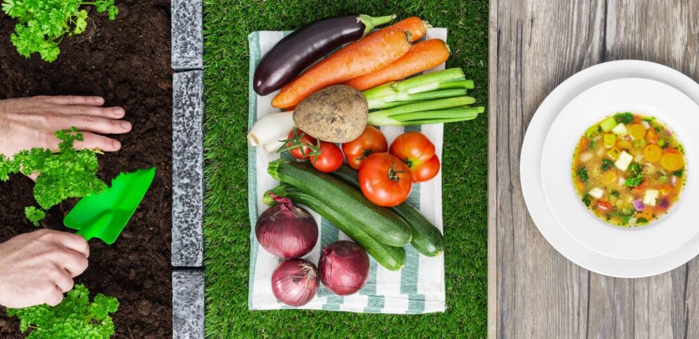 Manos plantando hierbas frescas en tierra junto a una variedad de vegetales frescos sobre un mantel y un plato de sopa de vegetales en una mesa de madera.