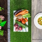 Manos plantando hierbas frescas en tierra junto a una variedad de vegetales frescos sobre un mantel y un plato de sopa de vegetales en una mesa de madera.