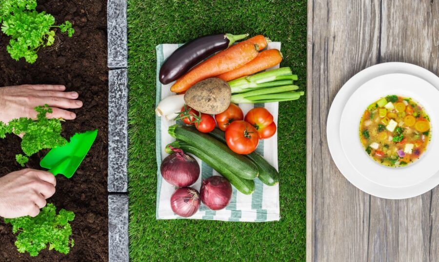 Manos plantando hierbas frescas en tierra junto a una variedad de vegetales frescos sobre un mantel y un plato de sopa de vegetales en una mesa de madera.