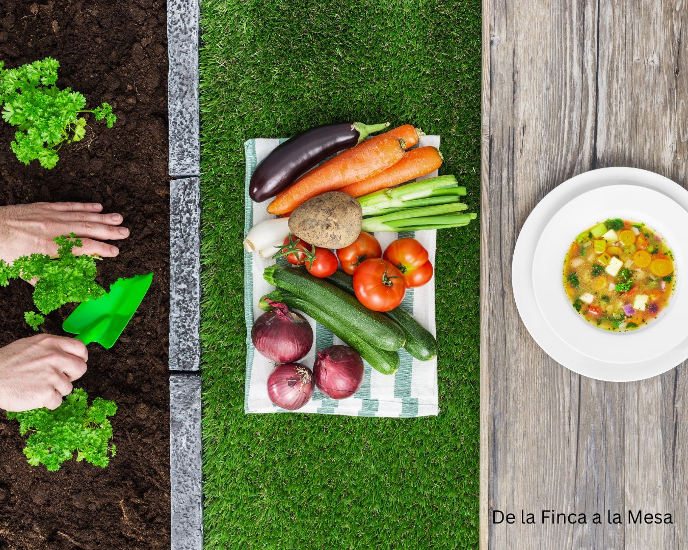 Manos plantando hierbas frescas en tierra junto a una variedad de vegetales frescos sobre un mantel y un plato de sopa de vegetales en una mesa de madera.