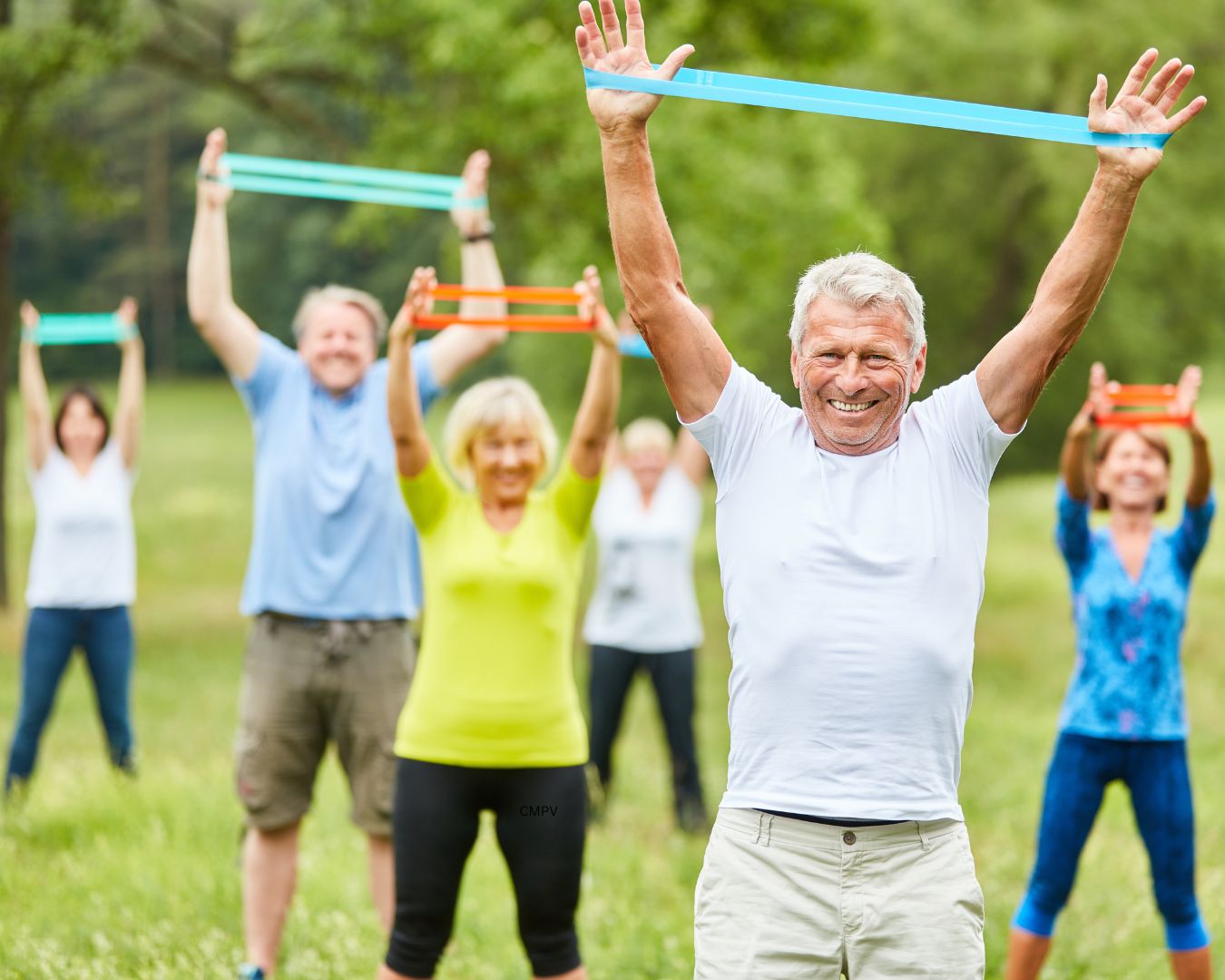 Grupo de adultos mayores realizando ejercicio al aire libre usando bandas de resistencia, mejorando su fuerza y flexibilidad.