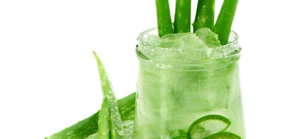 Hojas frescas de Aloe Vera junto a un frasco con gel de aloe y rebanadas de la planta en un tazón de vidrio, sobre un fondo blanco.