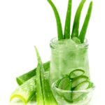 Hojas frescas de Aloe Vera junto a un frasco con gel de aloe y rebanadas de la planta en un tazón de vidrio, sobre un fondo blanco.