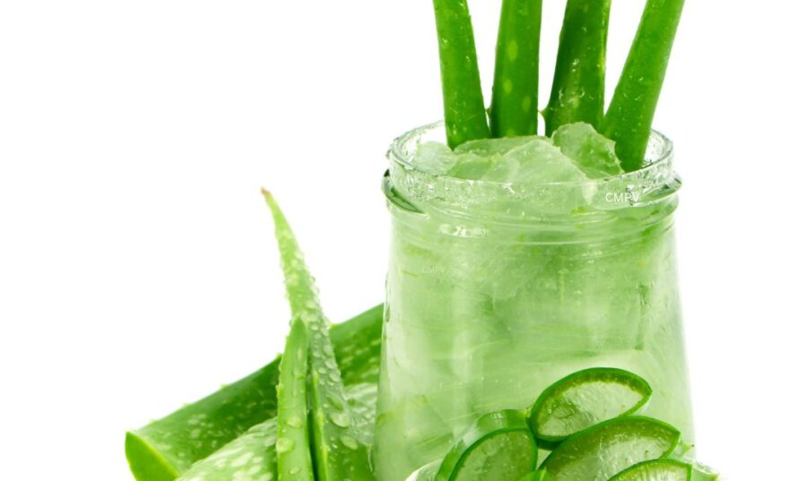 Hojas frescas de Aloe Vera junto a un frasco con gel de aloe y rebanadas de la planta en un tazón de vidrio, sobre un fondo blanco.