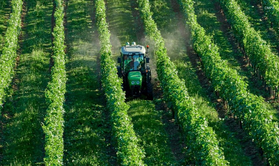 Vista aérea de un tractor aplicando pesticidas entre hileras de cultivos agrícolas verdes. La imagen ilustra el uso de pesticidas en la producción de alimentos y la importancia de adoptar medidas para reducir la exposición a sus residuos.