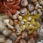Fotografía de diversas variedades de setas comestibles, agrupadas sobre una superficie de madera, con sombreros y tallos de colores blancos, marrones, rosados, amarillos y anaranjados.